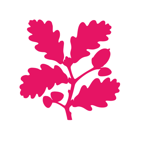 The National Trust logo