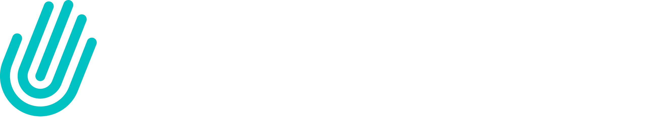 Sign Video Logo